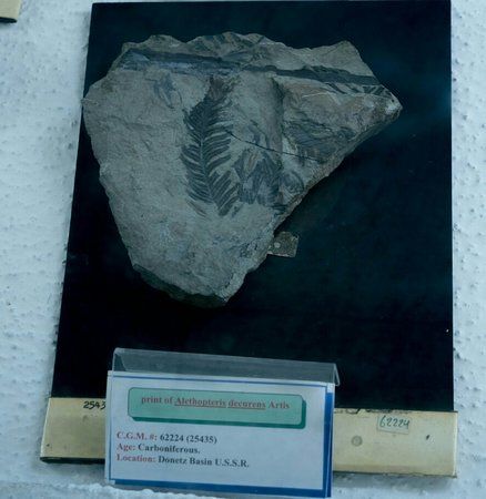 Egyptian Geology Museum